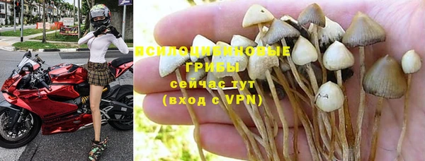 а пвп мука Аркадак